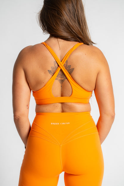 Antonella Active Bra: High Support Active Sports Bra