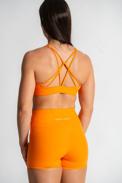 Antonella V-Cut Shorts : Mid-Waist Activewear Shorts