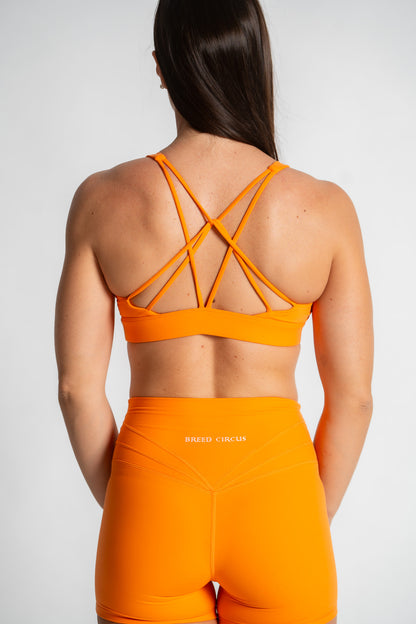 Antonella Classic Bra: High Support Active Sports Bra